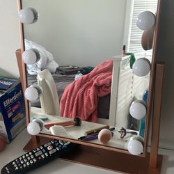 Light Adjustable Mirror 