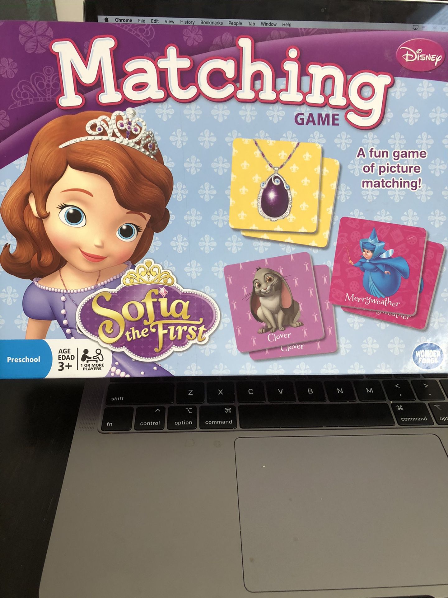 Matching Game Sofia the First Game