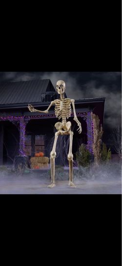 Giant 12 foot Skelly