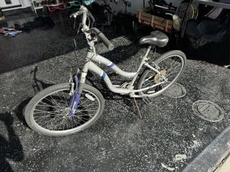 Schwinn cruiser