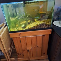Aqueon Aqurium Tank Fish