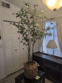 Decorative plant