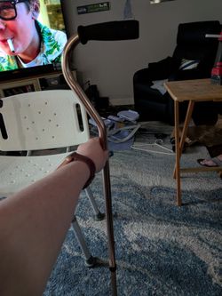 Walking cane