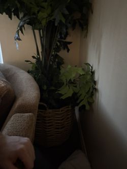 Big Fake House Plant