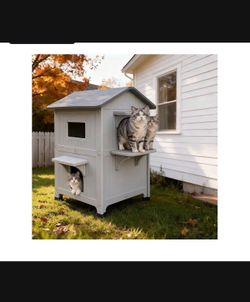 Animal Cat House