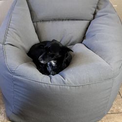 Bean Bag Chair 