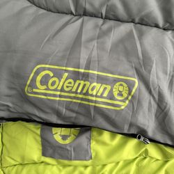 Coleman Dexter Point Cool Weather Sleeping Bag 