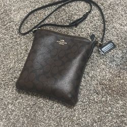 Coach Bag (minimally Ripped) 
