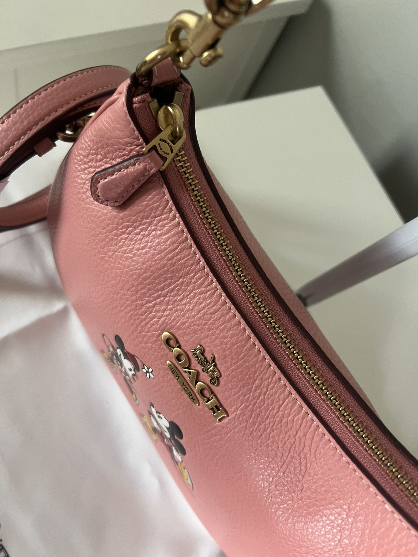 Disney X Coach Teri Shoulder Bag with Mickey And Minnie Mouse