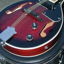 Berkeley Electric Acoustic Mandolin 2xGDAE w/Hard Case