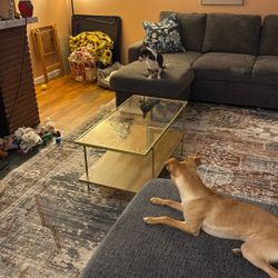 Modern Bohemian Gold Wood And Glass Coffee Table