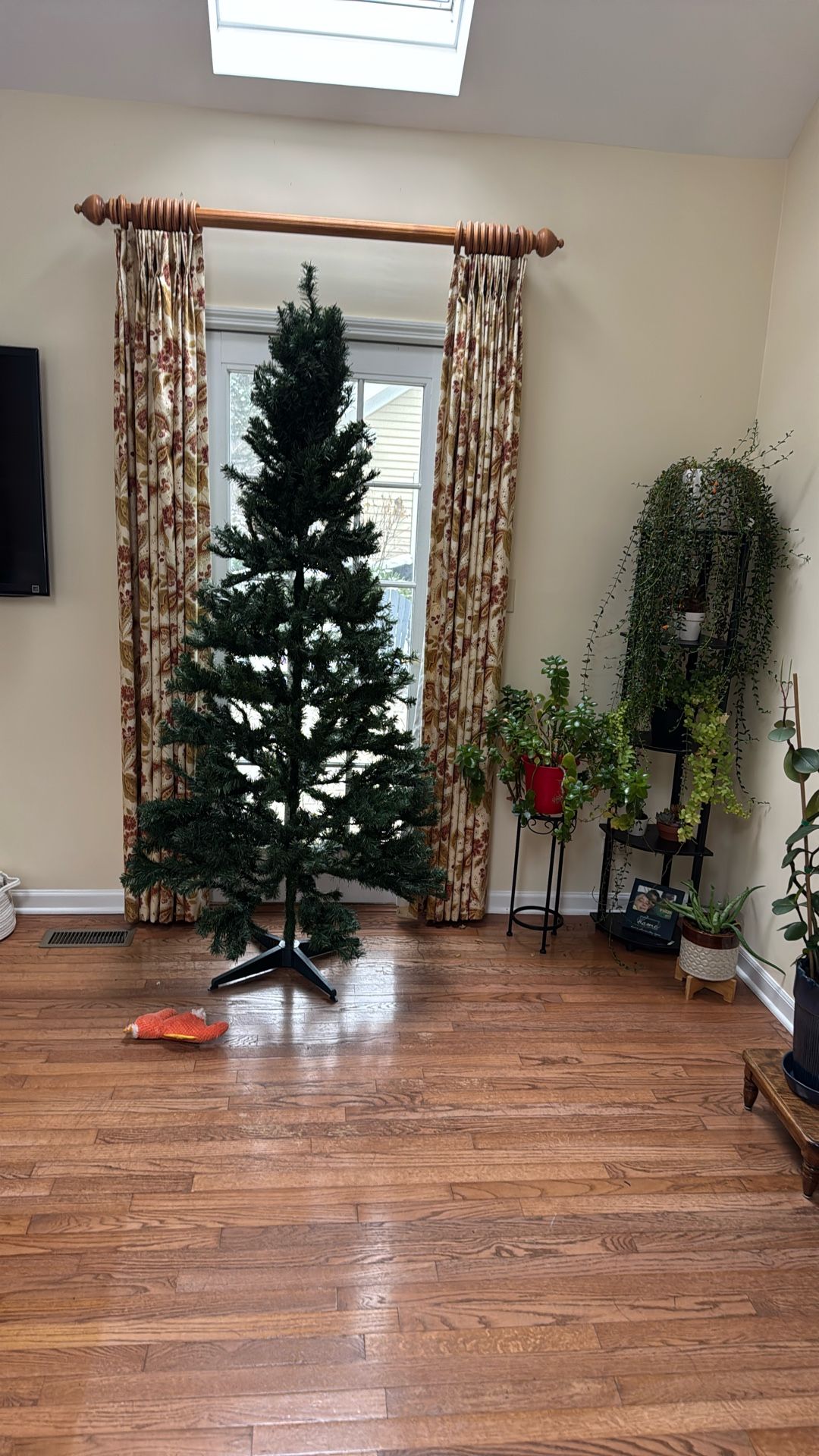 Free Christmas Tree