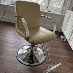 Salon Chair