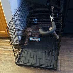 Folding Metal Dog Cage With Drip Tray