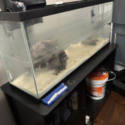 Fish Tank And Stand 