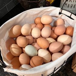 Fresh eggs