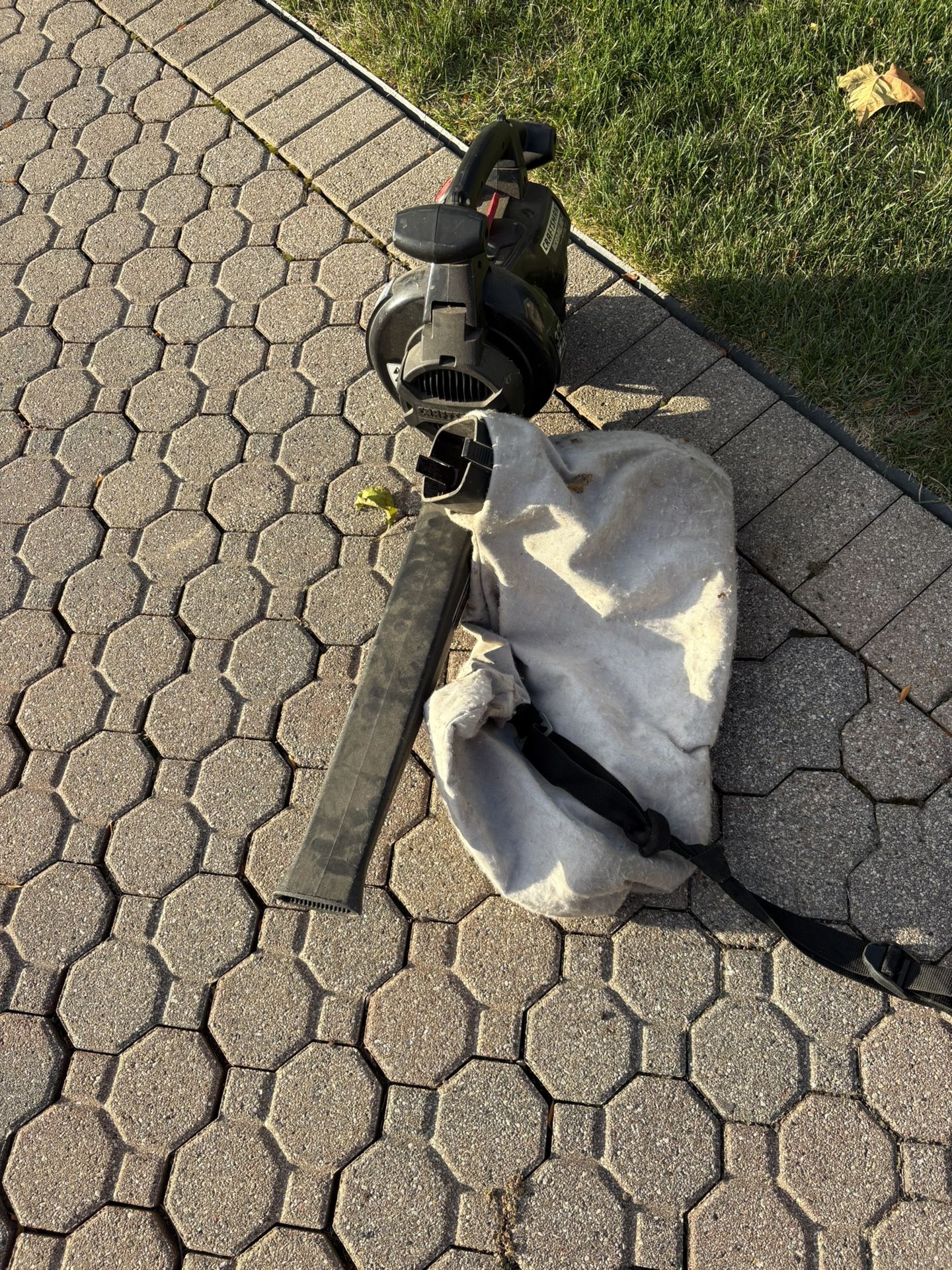 Gas Blower/ Vacuum Bag