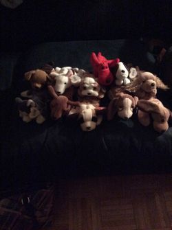 Dog beanie babies