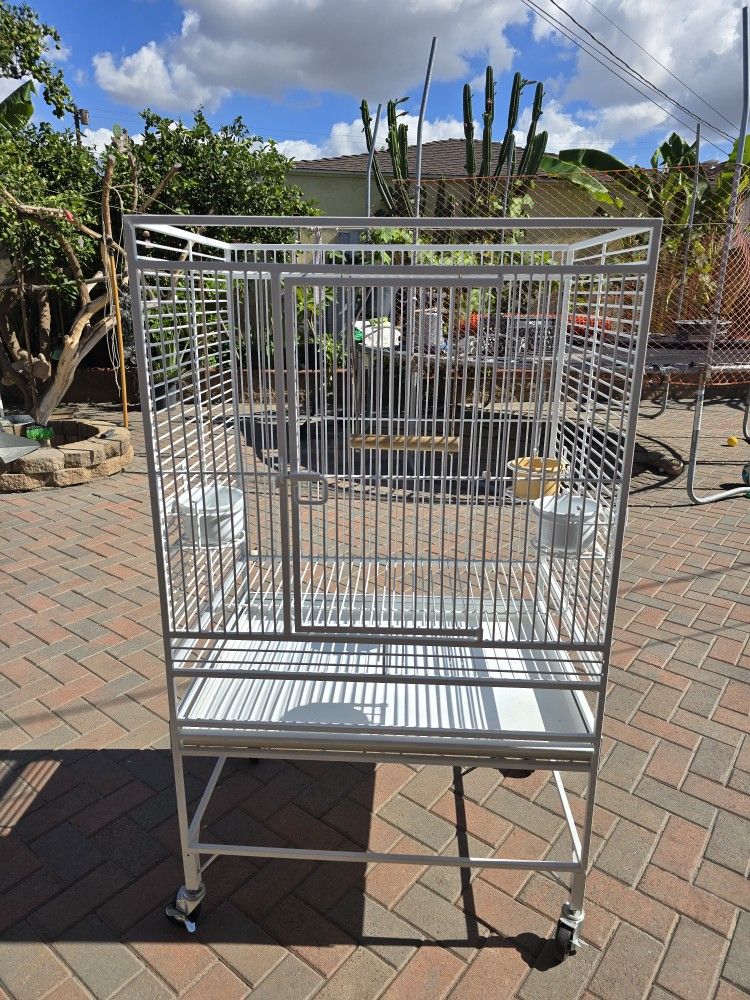 Bird Parrot Cage