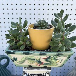 Succulents In A Dragon Loaf Dish