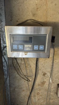 Weight Scale