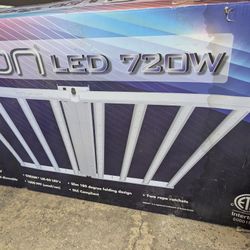Hydroponic Grow Light