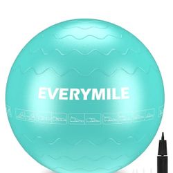EVERYMILE Exercise Ball (55cm), Thick & Anti Burst Yoga Ball Chair, Stability Ball for Balance, Exercise, Workout, Core Training, Quick Pump Includ