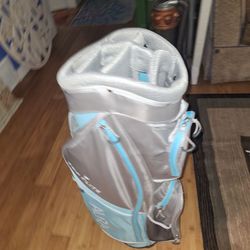 Aura top flite light weight golf bag