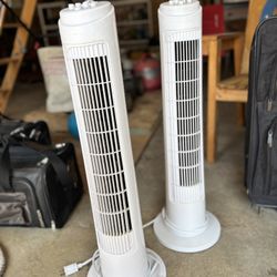 2 Awesome Matching Fans 