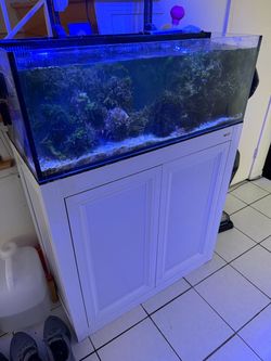 IM Nuvo 30L AIO Reef Tank