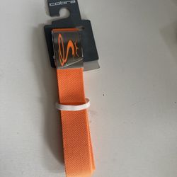 Brand New Belt