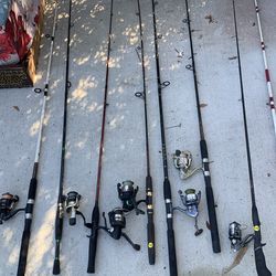 Fishing pole with reel