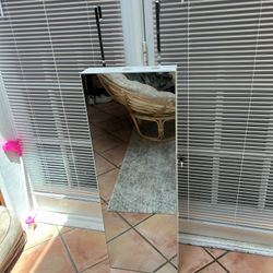 Storage Mirror & Optional mount -$40