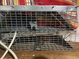 2 Lot Havahart Small Live Catch Cage Trap For Chipmunks/Squirrels/