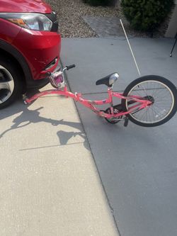 WeeRide Co-Pilot Bike Trailer