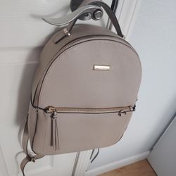 Aldo Backpack