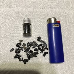 Miniature baby shark teeth