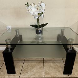 Elegant Glass & Metal Rilla Coffee Table