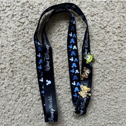 walt disney world lanyard and pins