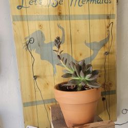 Wooden Lets Be Mermaid Plant Holder