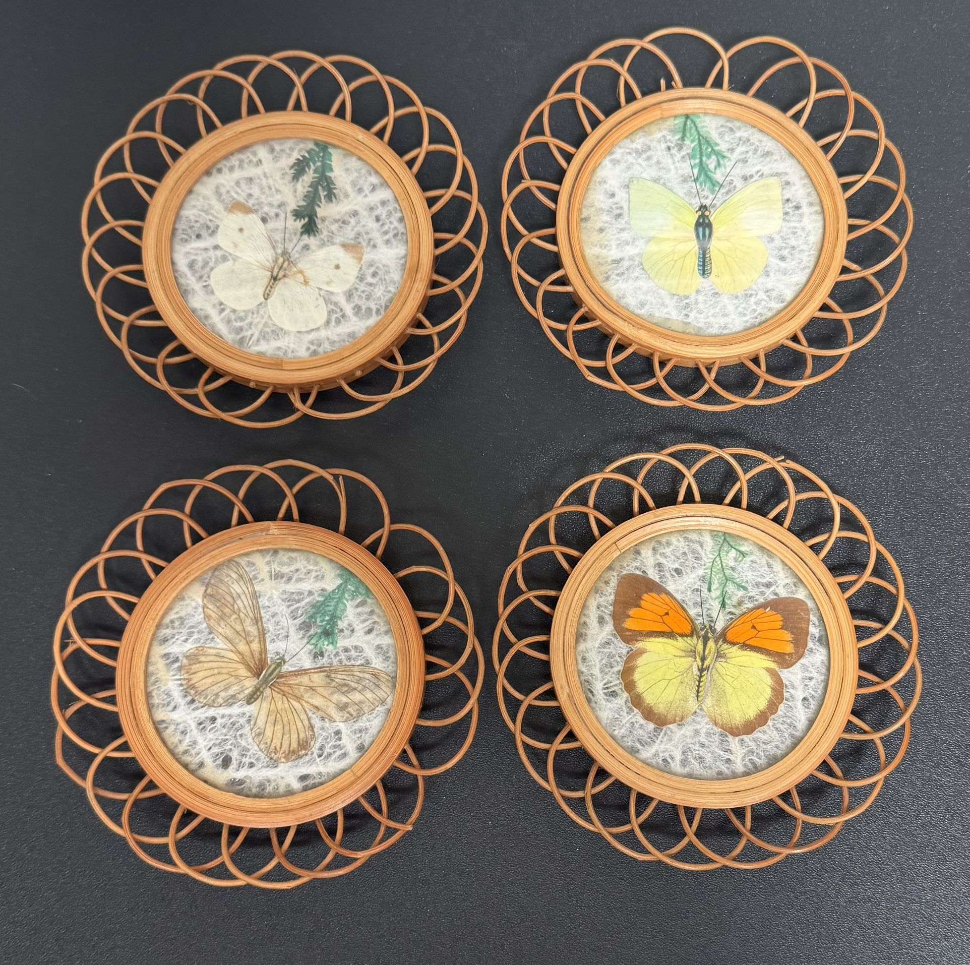 Vintage Butterfly Coasters Decor $5 for All
