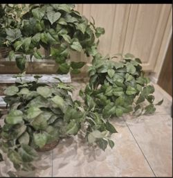 Plant Includes A Pot Artificial Silk Faux Plant 