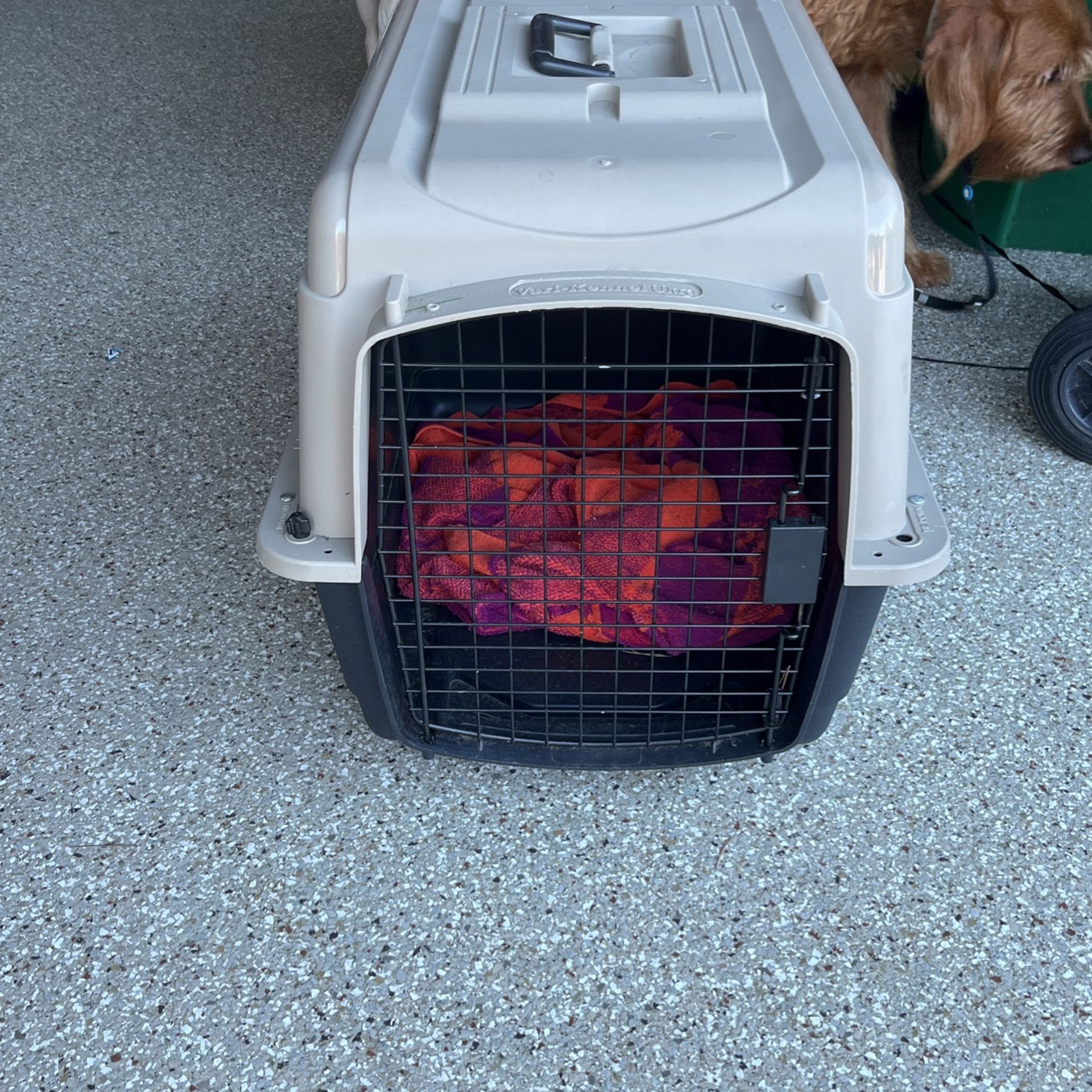 Dog Crate
