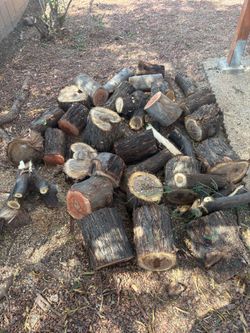 Wood for fire pit