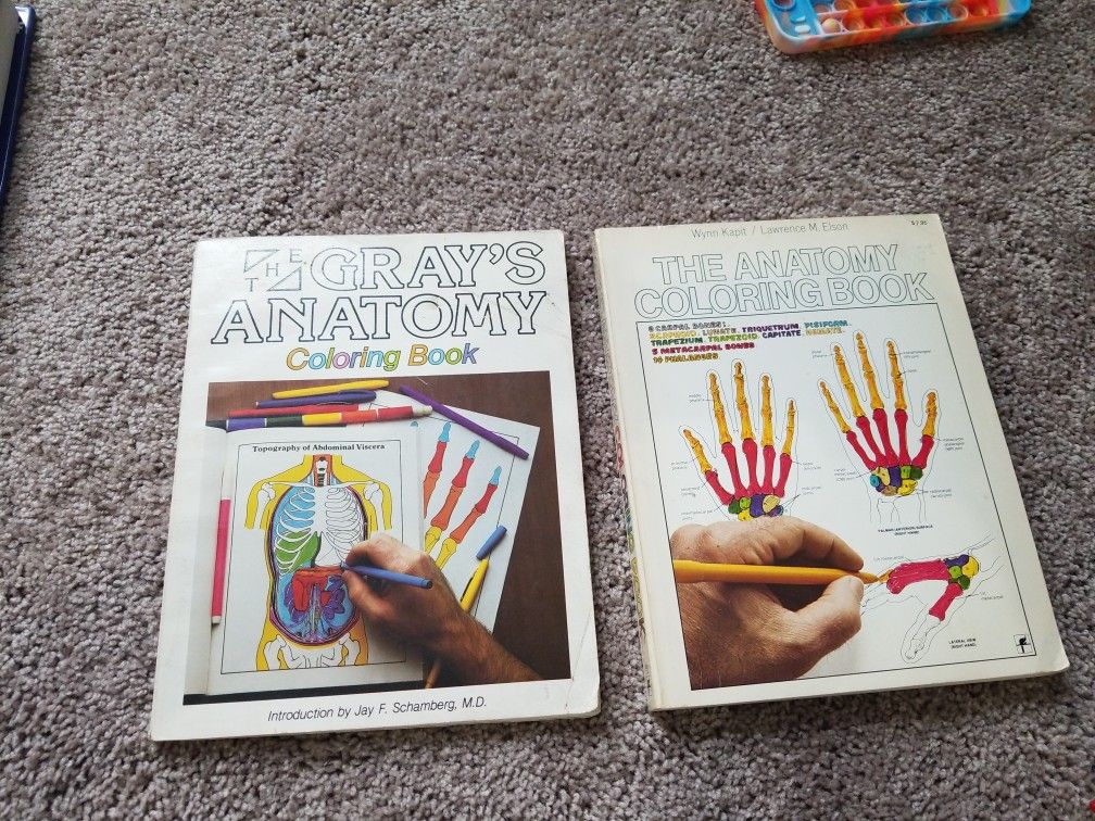 Gray's Anatomy And The Anatomy Coloring Books