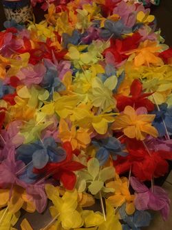 Hawaiian Doorway Curtain (Luau Theme)