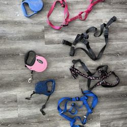 Various Pet Harness And Leashes 