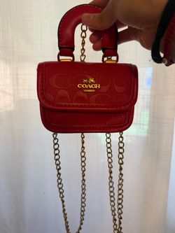 mini coach bags