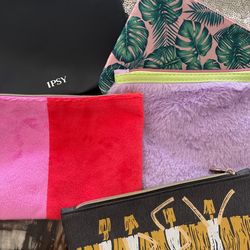 Ipsy Cosmetics Bags