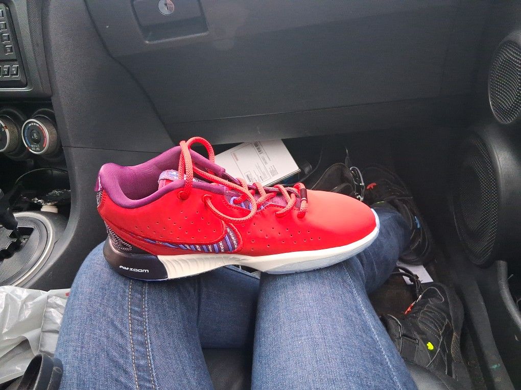 James LeBron Air Zoom Nike Shoes